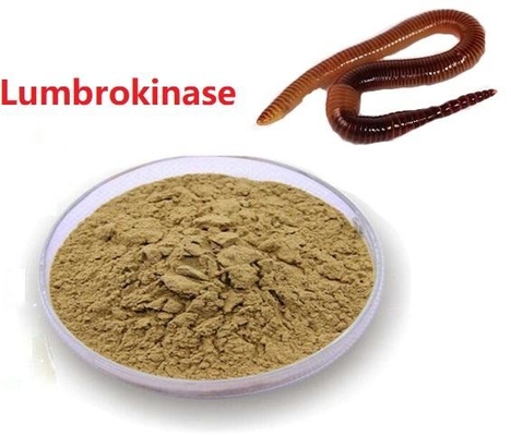 Materia prima Lumbrokinase de la entrega segura del extracto de API Raw Powder Low Price Lumbrokinase