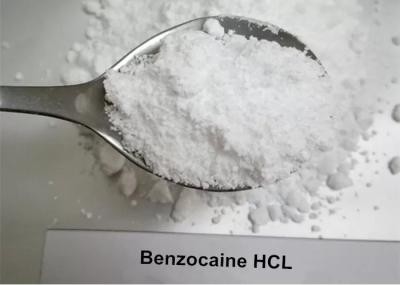 Benzocaine material farmacéutico CAS 59-46-1 de la pureza del polvo el 99% de Benzocain para el Benzocaine anestésico local