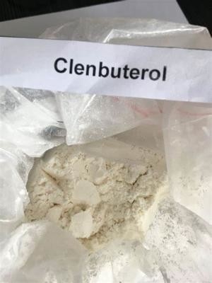 Wickr de Api Chemical del polvo del clorhidrato de CAS 21898-19-1 Clenbuterol yo, wanjiang