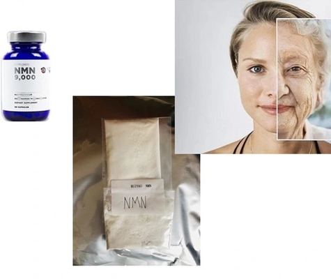 Beta Nicotinamide Mononucleotide Nmn CAS 1094-61-7 antienvejecedor